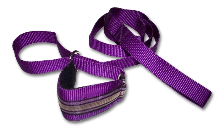 Lure Coursing Collar 2" Wide